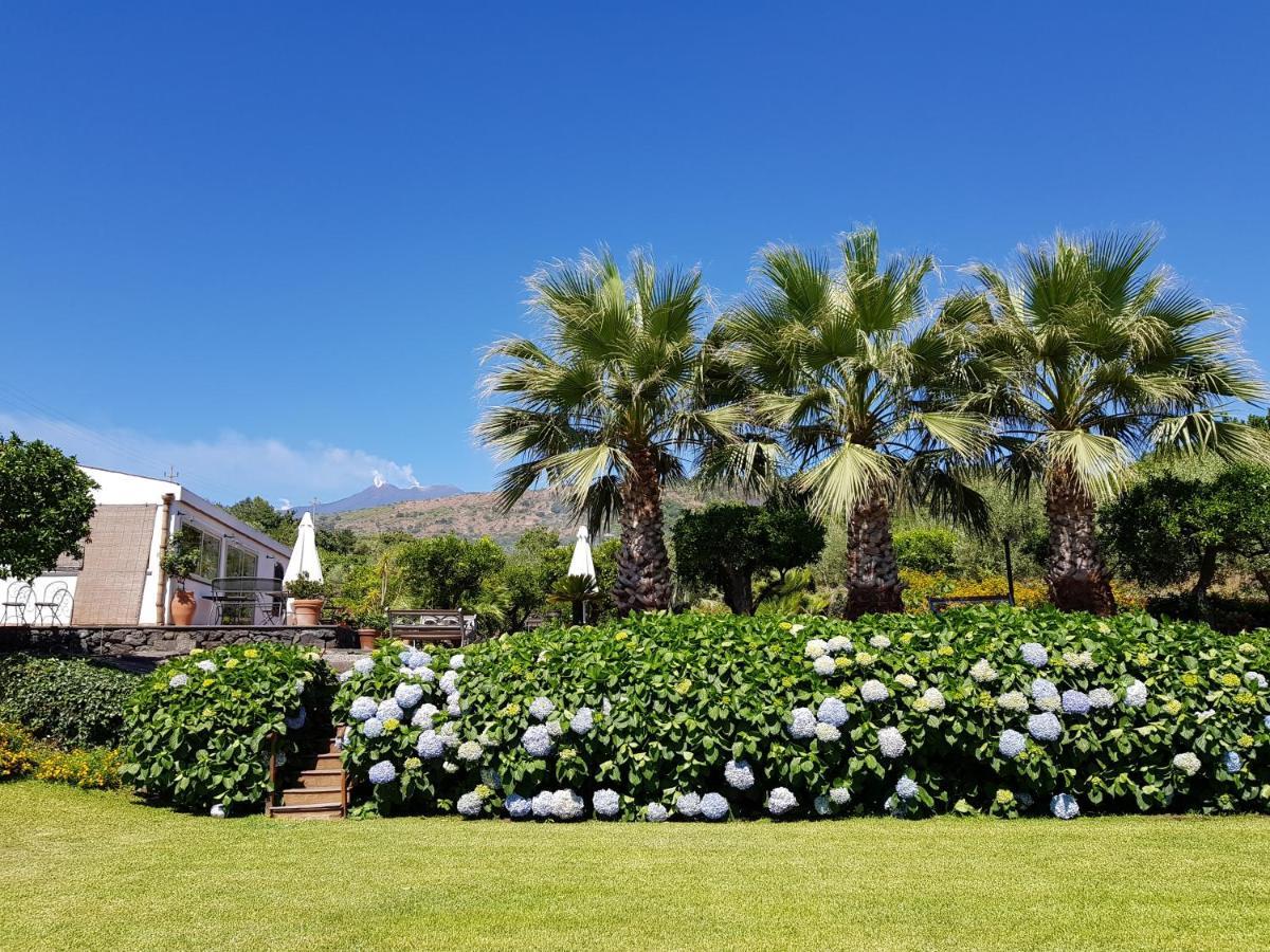 Agriturismo Le Case Di Civi Mascali Dış mekan fotoğraf