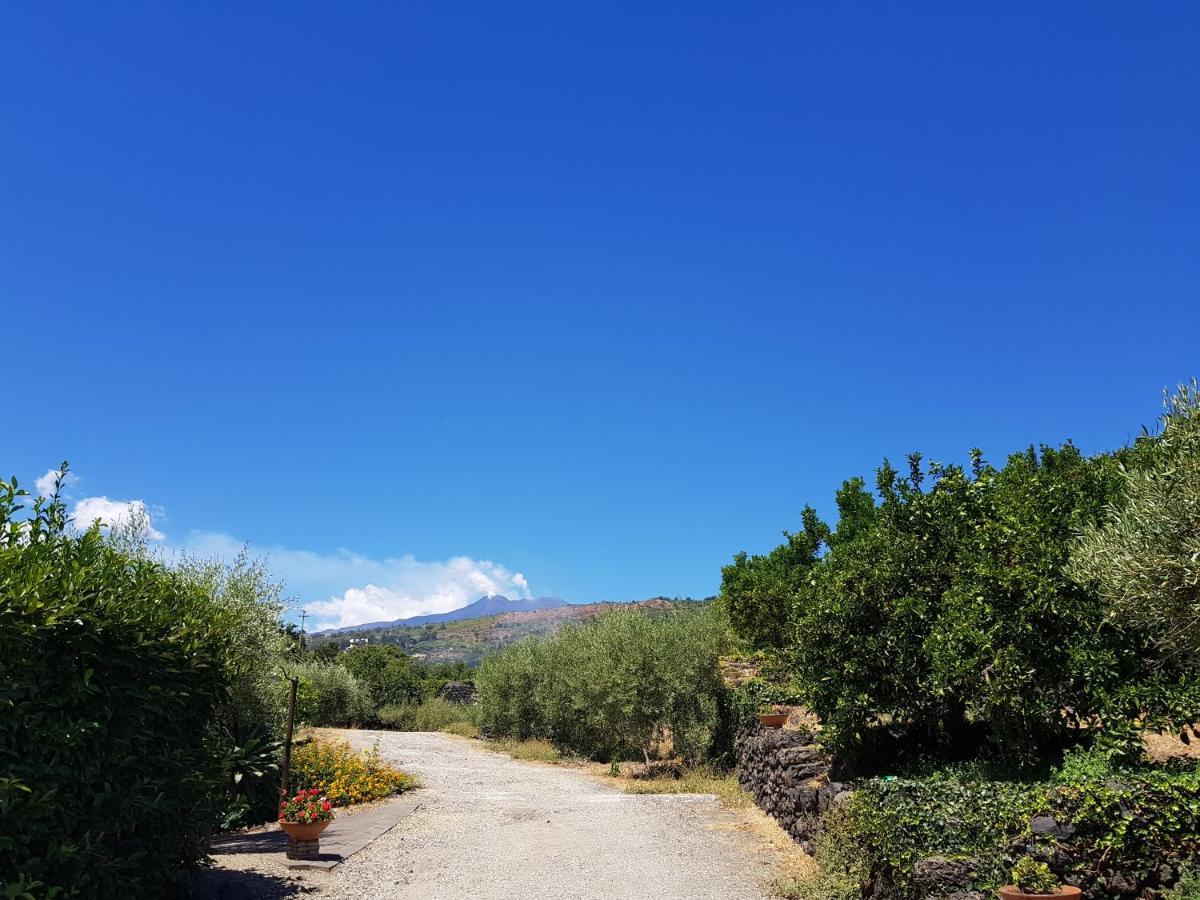Agriturismo Le Case Di Civi Mascali Dış mekan fotoğraf