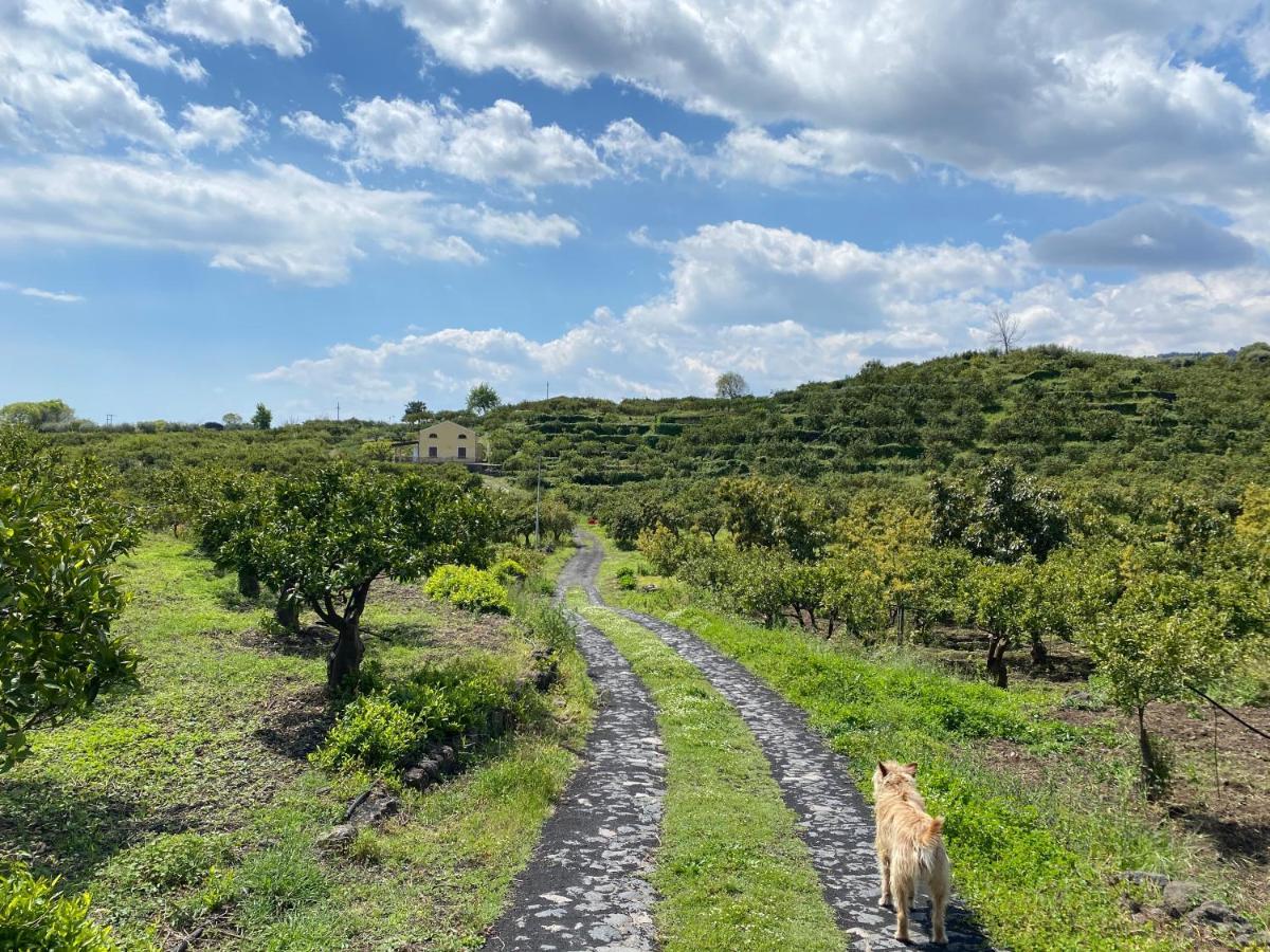Agriturismo Le Case Di Civi Mascali Dış mekan fotoğraf