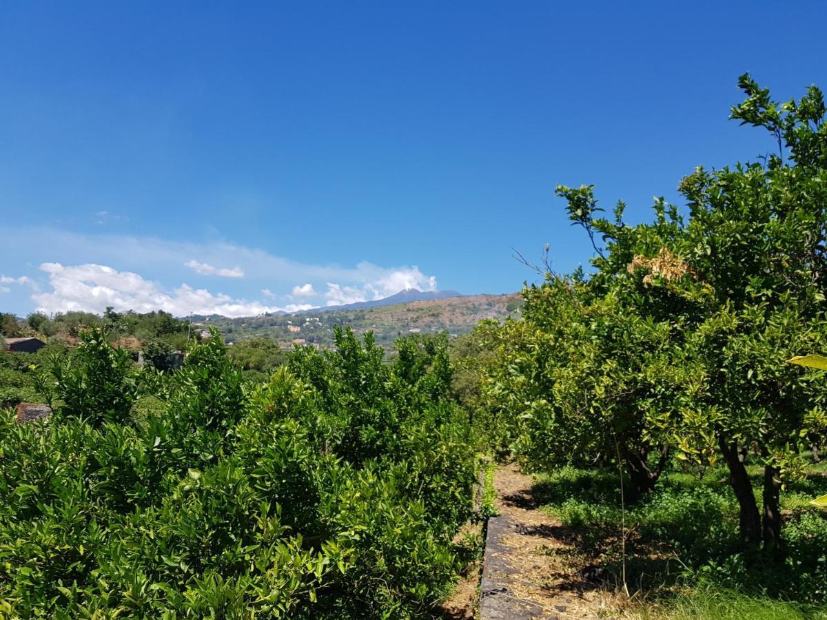 Agriturismo Le Case Di Civi Mascali Dış mekan fotoğraf