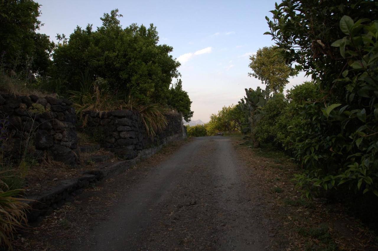 Agriturismo Le Case Di Civi Mascali Dış mekan fotoğraf