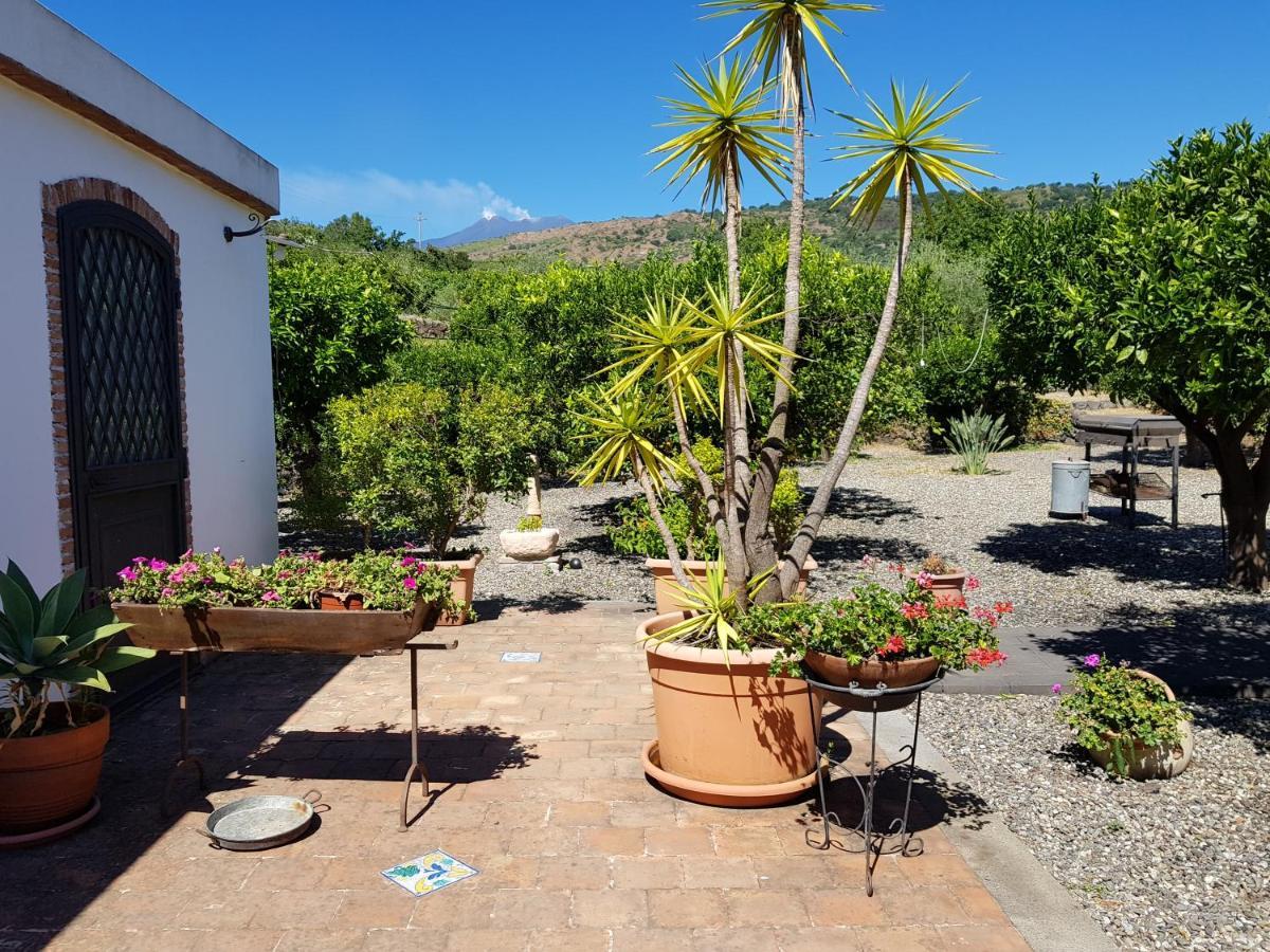 Agriturismo Le Case Di Civi Mascali Dış mekan fotoğraf