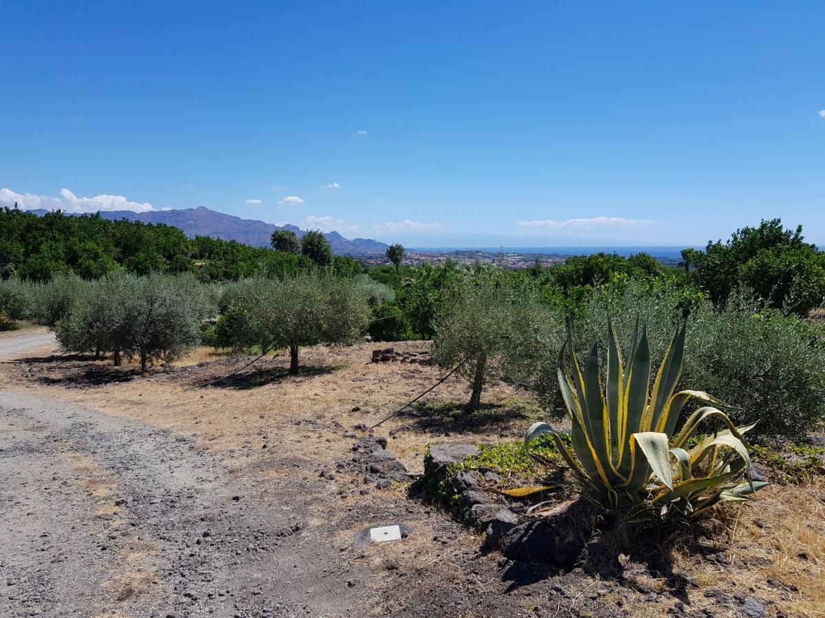 Agriturismo Le Case Di Civi Mascali Dış mekan fotoğraf