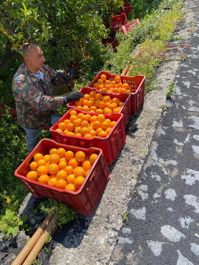 Agriturismo Le Case Di Civi Mascali Dış mekan fotoğraf