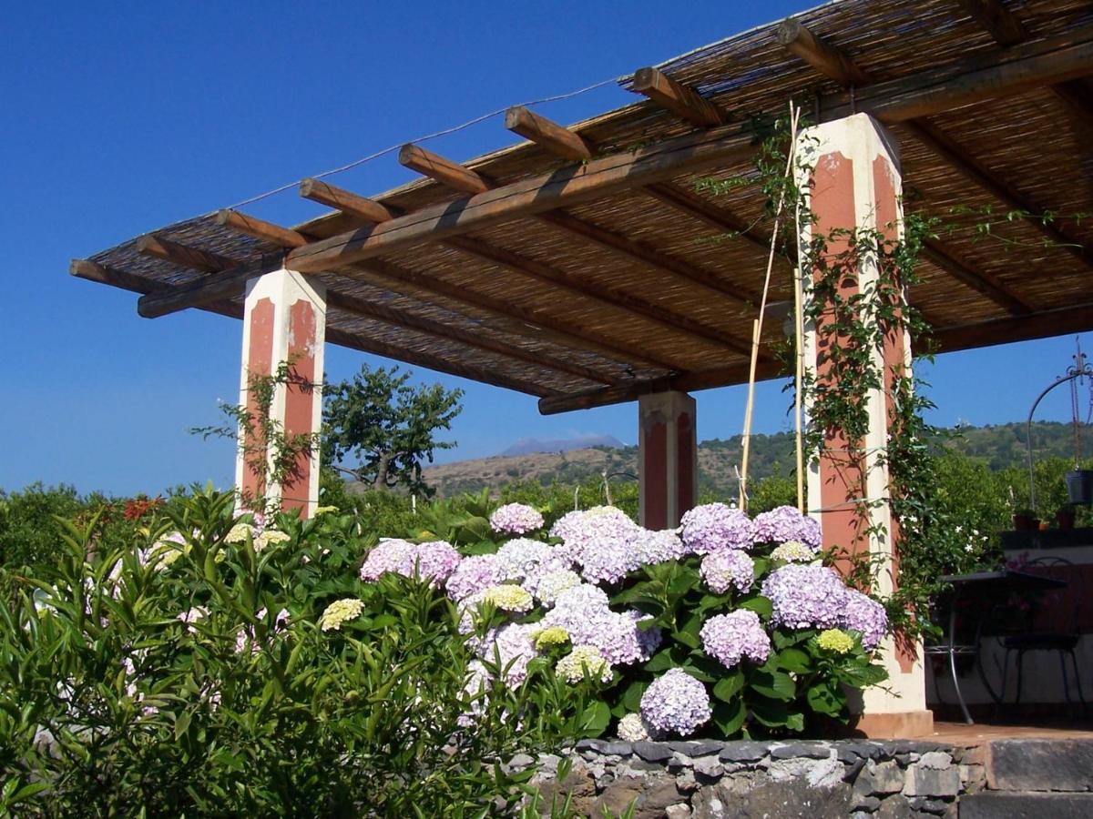 Agriturismo Le Case Di Civi Mascali Dış mekan fotoğraf